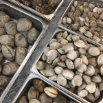 Clams in shells at a fish market