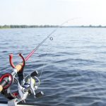 Half-Day Fishing Trip with Dockside Seafood & Fishing Center